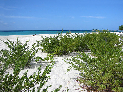 Blick auf das Meer