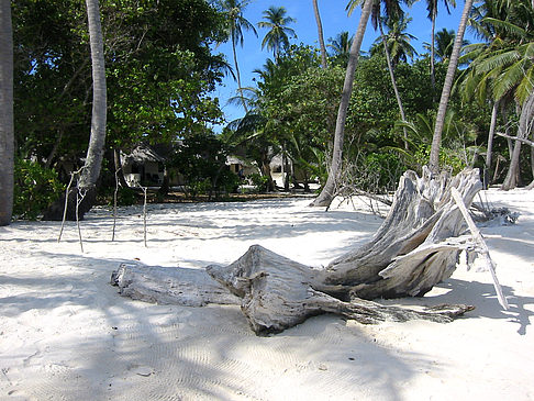 Der weiße Sandstrand Foto 