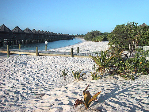 Foto Der weiße Sandstrand der Malediven - 