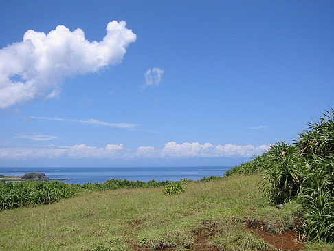 Foto Green Island - 