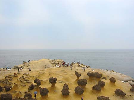 North East Coast