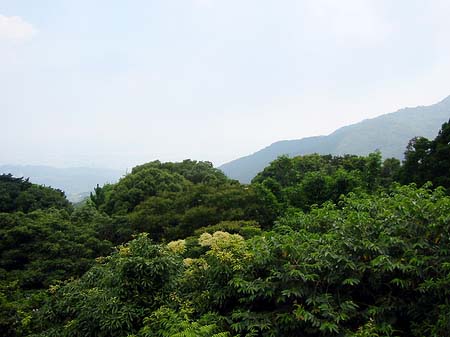 Fotos Yangminshan | 