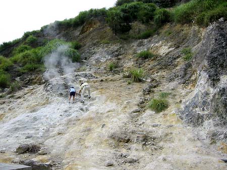 Yangminshan Foto 